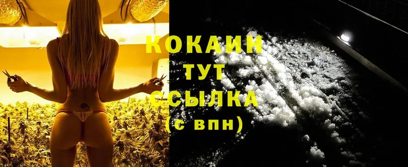 где купить наркоту  Орлов  Cocaine Колумбийский 